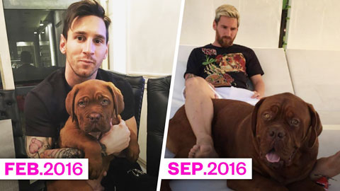 Chó nhà Messi